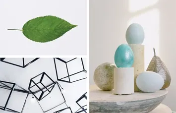 Angular vs Circular Shape Logos